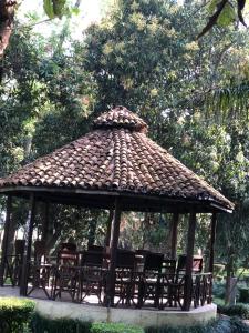 Rhino Lodge Bardia Pvt Ltd