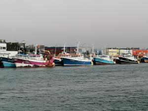 B&B / Chambres d'hotes La Rose des Mers : photos des chambres