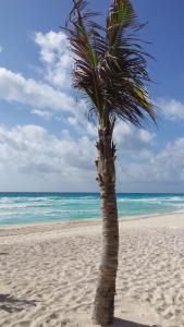 Ocean Seaview Dream condo next to clubs