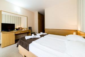 Hotel Muresul Health Spa