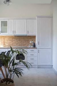 Domus Lux Houses by Konnect