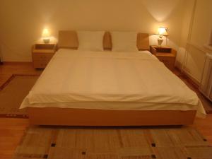 Alex Apartments on Puskinskaya, Apartmány - Kyjev