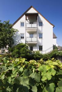 Gästehaus mit Weitblick im Weingut Christoph Clüsserath und Bernhard Eifel