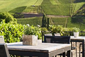 Gästehaus mit Weitblick im Weingut Christoph Clüsserath und Bernhard Eifel