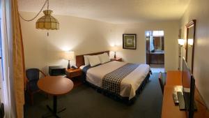 King Room - Smoking  room in Vantage Point Inn - Woodland Hills
