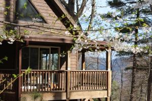Three-Bedroom House room in Asheville Town Cabin cabin