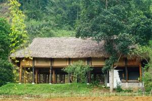 Tùng Núi Homestay