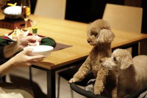 Regina Resort Kyukaruizawa