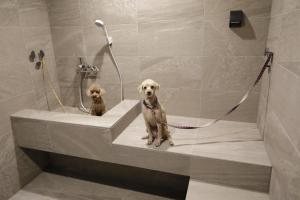 Regina Resort Kyukaruizawa