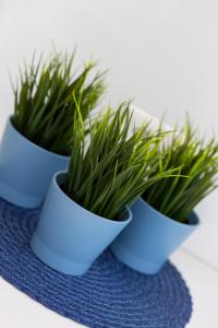 Deluxe Studio Warsaw City Center by Noclegi Renters