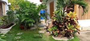 Hadassah’s Place