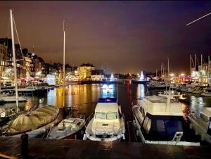 Appartements Escapade a Honfleur : photos des chambres