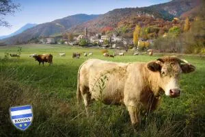 GÎTE LA TANIÈRE DES ALPES - Authon