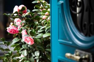 Hotels Odeon Hotel : photos des chambres
