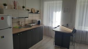 Apartment on Kudirkos 20