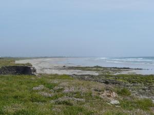 LARAON - Maison, Calme, Pouldreuzic - AD6004