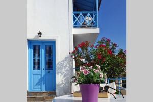 ELECTRA TRADITIONAL HOUSE Alonissos Greece