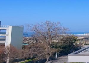 Double Room with Terrace and Garden View