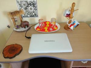 Vila la Izvorul Putinei