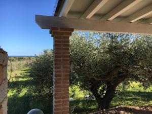 Sa Tanca de Mannoi img32