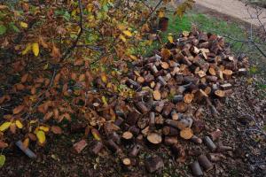 Trikalon Muses Art Suites