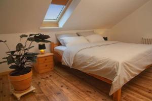 Ferienwohnung “Mount Meißner”