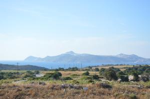 Errikas Sweet Home