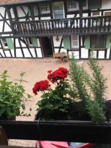 Les Chambres de Christine photo 12