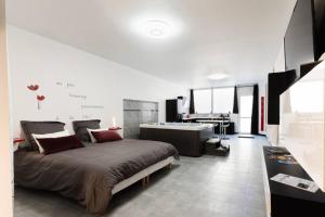 Appartements Nuit romantique avec Jacuzzi SPA privatif proche TOULOUSE : photos des chambres