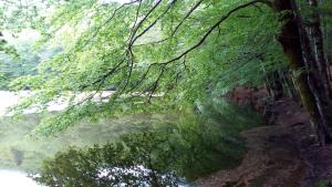 Montesanto 116 img63