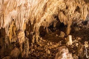 Montesanto 116 img57