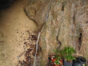 Montesanto 116 img62