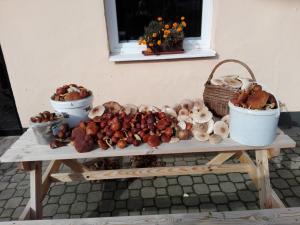 Noclegi Mazurskie 2
