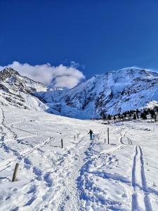 Appartements Nice & cozy apartment facing the gondola - LA BOULE DE NEIGE 112 : photos des chambres