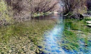 Casas Rurales Cazorla-Alcón
