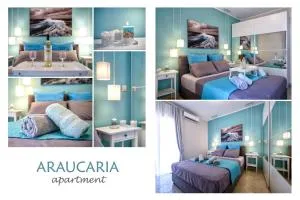 Araucaria King - 卡纳里奥