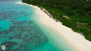 Shifa Lodge Maldives - Himandhoo 