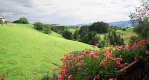 Haus Bergblick