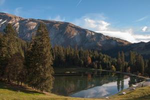 B&B / Chambres d'hotes Chalet sur les monts Morzine : photos des chambres