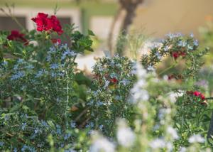 Anemohadi Apartments Kythira Greece