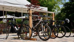 Genusshotel Hirschen - Erholung im Grünen (Südschwarzwald)