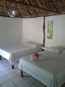 Las Cabañas del Doctor