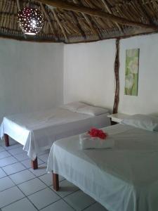 Las Cabañas del Doctor