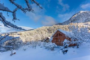 Chalets Chalet Carpe Diem : photos des chambres