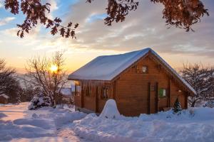 Chalets Chalet Carpe Diem : photos des chambres