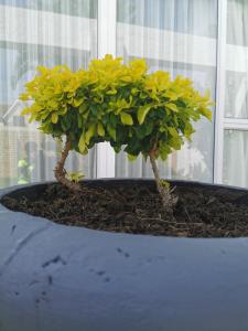 Ballina Ga-el Guesthouse