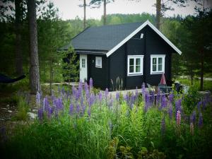 Fröya Timber Cottage