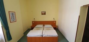 Standard Double Room room in Penzión Rodina