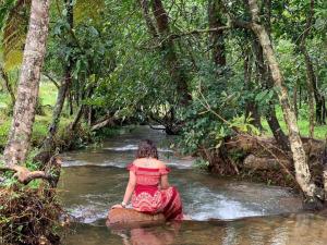Abad Brookside Wayanad