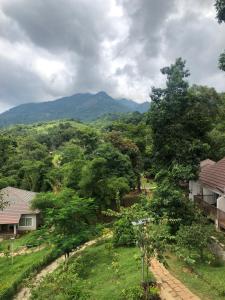 Abad Brookside Wayanad